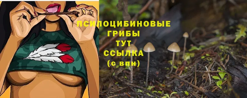 Псилоцибиновые грибы ЛСД  Большой Камень 